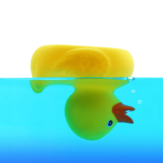 Duck 5